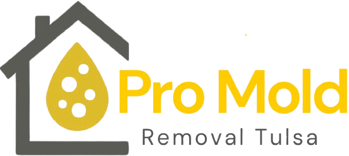 pro_mold_removal_tulsa